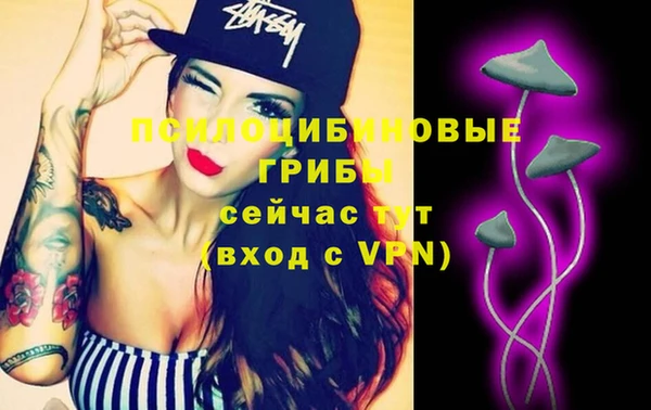 мет Абаза
